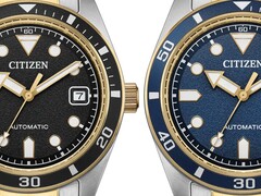 Citizen bicolor