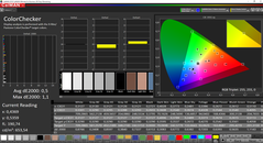 CalMAN ColorChecker calibrado (espacio de color objetivo P3)