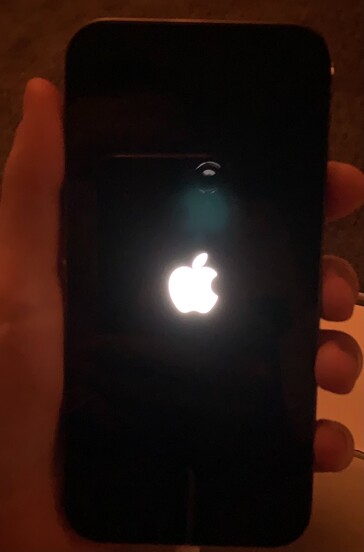 Algunas imágenes más vinculadas al nuevo problema del "iPhone 12 tinte verde". (Fuente: Apple Comunidades de apoyo, MacRumores)