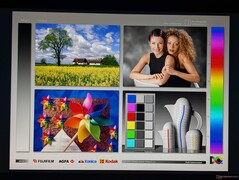 Amplios ángulos de visión IPS