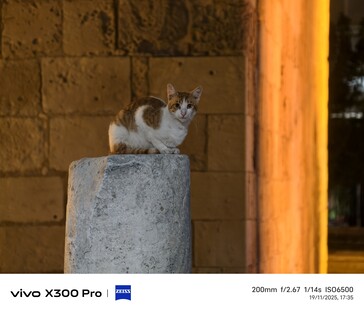 Vivo X300 Pro 200 mm con teleconvertidor.