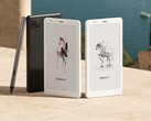Los próximos productos Boox podrían ser versiones globales de la serie Boox P6 Pro (en la imagen). (Fuente de la imagen: Boox)