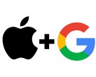 Apple se ha asociado con Google para seguir desarrollando Siri basándose en Gemini. (Fuente de la imagen: Freepik / Flaticon, Mila Yunita / Vecteezy) 