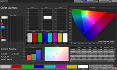 Espacio de color CalMAN