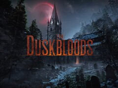 Se muestra el banner de la prueba de red de The Duskbloods para Switch 2