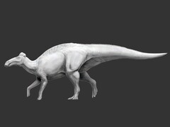 El Edmontosaurus annectens es el primer dinosaurio conocido que tenía patas en forma de pezuñas. (Fuente de la imagen: Science.org)