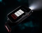 El smartwatch Garmin Venu X1 estará disponible para pedidos a mediados de junio. (Fuente de la imagen: Garmin)