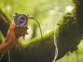 Pocket Scion crea música basada en la actividad eléctrica de las plantas. (Fuente de la imagen: Instruō)