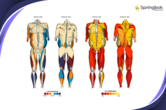 Springbok Analytics proporciona análisis musculares en 3D impulsados por IA. (Fuente: Springbok Analytics)