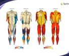 Springbok Analytics proporciona análisis musculares en 3D impulsados por IA. (Fuente: Springbok Analytics)