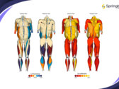 Springbok Analytics proporciona análisis musculares en 3D impulsados por IA. (Fuente: Springbok Analytics)