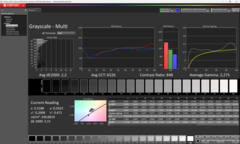 Escala de grises antes de la calibración