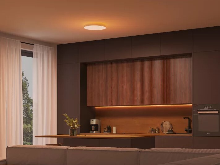 (Fuente de la imagen: Philips Hue)