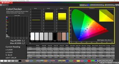 CalMAN ColorChecker (espacio de color de destino DCI-P3)