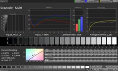 CalMAN Escala de grises