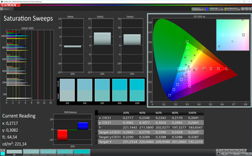 CalMAN: Saturación de color - espacio de color objetivo sRGB