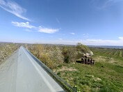 OnePlus 13 - Zoom 0,5x (ultra gran angular)