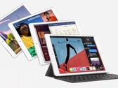 El último iPad de nivel básico tiene un chipset A12 Bionic. (Fuente de la imagen: Apple)