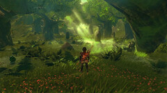 The Legend of Zelda: Breath of the Wild podría tener un aspecto mucho más llamativo si corriera en una consola más potente. (Fuente de la imagen: Digital Dreams)