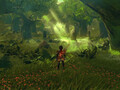 The Legend of Zelda: Breath of the Wild podría tener un aspecto mucho más llamativo si corriera en una consola más potente. (Fuente de la imagen: Digital Dreams)
