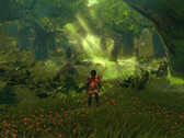 The Legend of Zelda: Breath of the Wild podría tener un aspecto mucho más llamativo si corriera en una consola más potente. (Fuente de la imagen: Digital Dreams)