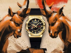 G-Shock GBM-2100CXG-9A de Casio