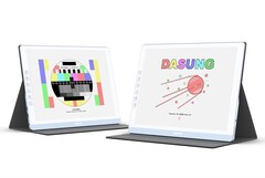 Dasung ha lanzado un nuevo monitor de tinta electrónica en color (Fuente de la imagen: Dasung)