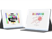 Dasung ha lanzado un nuevo monitor de tinta electrónica en color (Fuente de la imagen: Dasung)