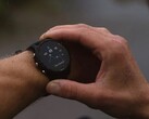 Garmin ha lanzado la versión de software 18.23 para el Forerunner 255. (Fuente de la imagen: Garmin)