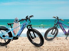 Se han presentado las nuevas versiones de edición limitada para California y Florida de la bicicleta eléctrica Himiway Zebra. (Fuente de la imagen: Himiway)