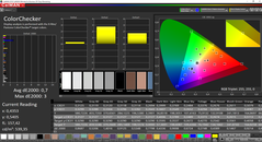 CalMAN ColorChecker calibrated (espacio de color objetivo P3)