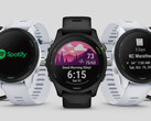 Las series Forerunner 255 y Forerunner 955 están cada vez más cerca de una nueva actualización estable. (Fuente de la imagen: Garmin)