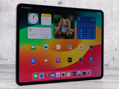 El nuevo modelo de iPad Pro será más fácil de usar en modo vertical (imagen: iPad Pro de 13 pulgadas con un Apple M4; fuente de la imagen: Notebookcheck)