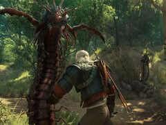 Imagen del juego The Witcher 3: Wild Hunt - Blood and Wine. (Fuente de la imagen: Steam)