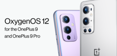 OnePlus reinicia el despliegue de OxygenOS 12. (Fuente: OnePlus)