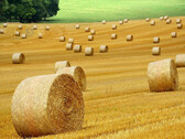 Cuanto más, mejor no siempre es lo correcto, ni siquiera en la agricultura. (Imagen: pixabay/ybernardi)