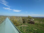 Sony Xperia 1 VI - zoom 0,5x (ultra gran angular)