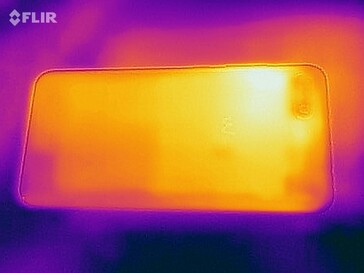 Mapa de calor trasero