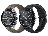 Es posible que el Xiaomi Watch 2 Pro solo esté disponible en un tamaño con pantalla de 1,43 pulgadas. (Fuente de la imagen: @MysteryLupin - editado)