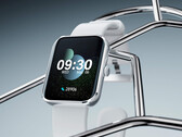 Watch D Pro y Watch D Ultra están disponibles en tres colores. (Fuente de la imagen: DIZO)