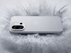 El OnePlus 13T contiene bastantes rebajas en comparación con el OnePlus 13, más grande. (Fuente de la imagen: OnePlus)