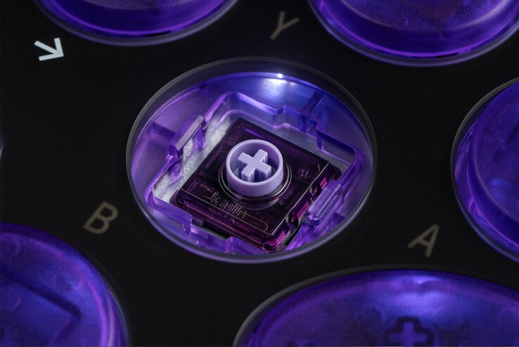 (Fuente de la imagen: 8BitDo)