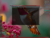 Besgnulinux 4-0 basado en Debian ya está disponible