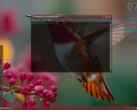 Besgnulinux 4-0 basado en Debian ya está disponible