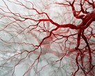La nueva tecnología basada en PAT puede utilizarse para captar imágenes rápidas y sin borrosidad de los vasos sanguíneos para un diagnóstico a tiempo. (Fuente de la imagen: Neuroscience News)