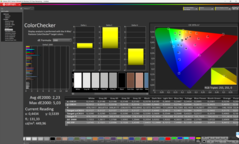 Calman ColorChecker