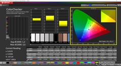 CalMAN ColorChecker (perfil: sRGB, espacio de color de destino: sRGB)