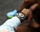 La Garmin Connect IQ Store está retrasando actualmente las actualizaciones de las aplicaciones varios días.