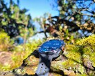 Análisis: Samsung Galaxy Watch Ultra2