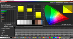 CalMAN ColorChecker calibrado (espacio de color objetivo AdobeRGB)
